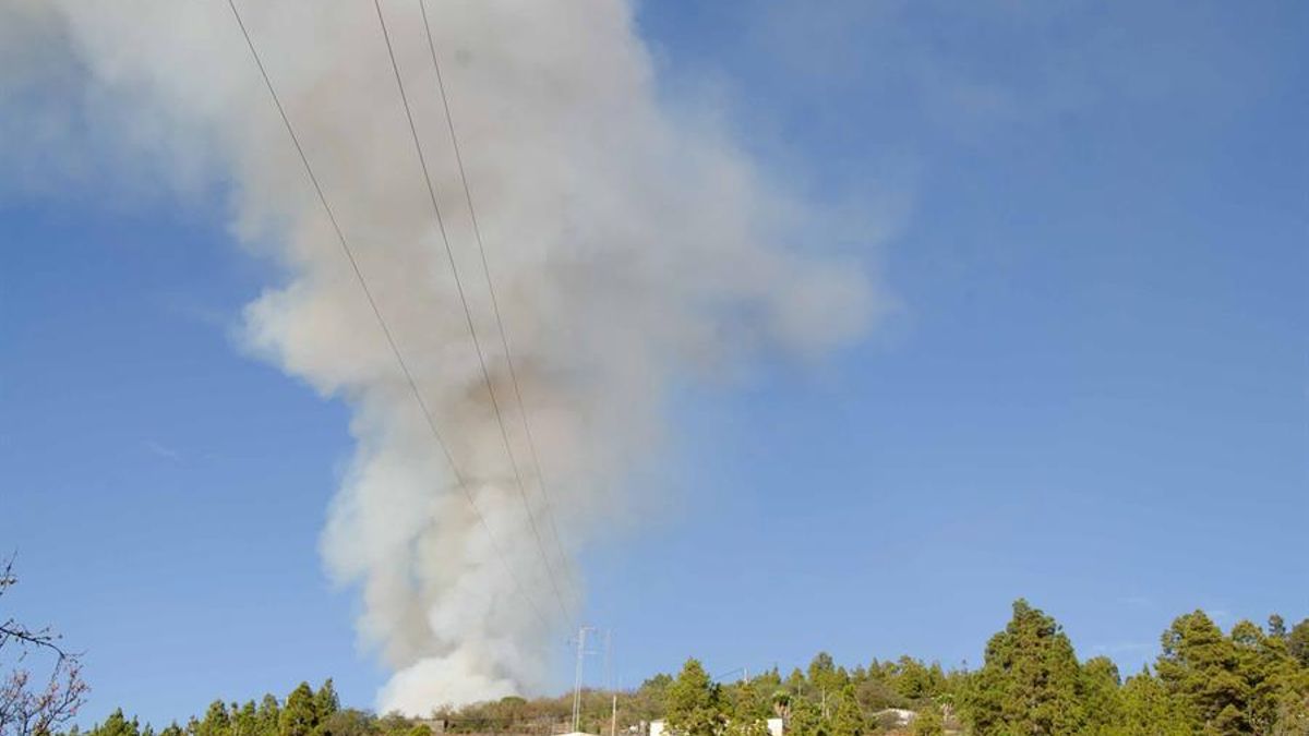 FOTOGALERÍA | Incendio forestal en Garafía