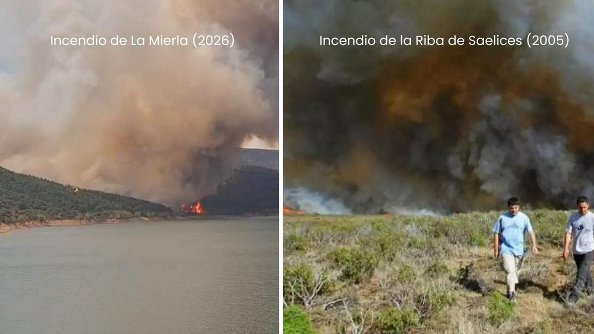 El incendio de La Mierla, en Guadalajara, iguala ya al de La Riba de Saelices de 2005, tras arrasar 13.000 hectáreas