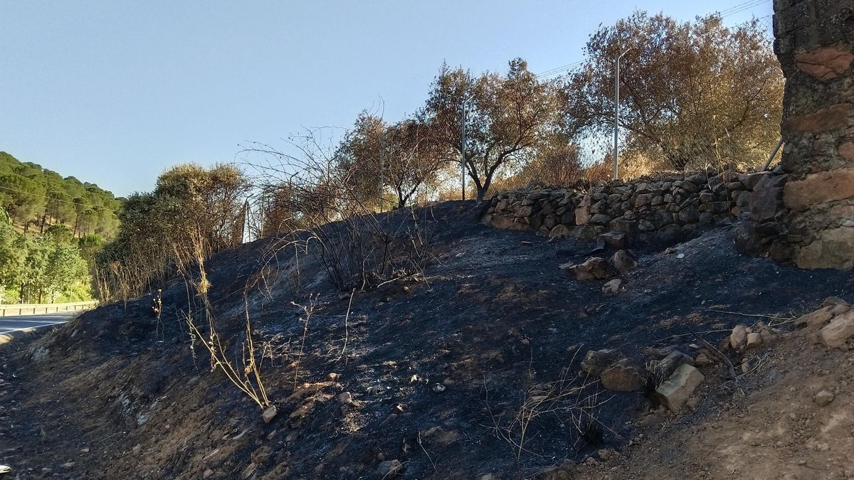 Imagen de uno de los incendios registrados en Villaviciosa de Córdoba