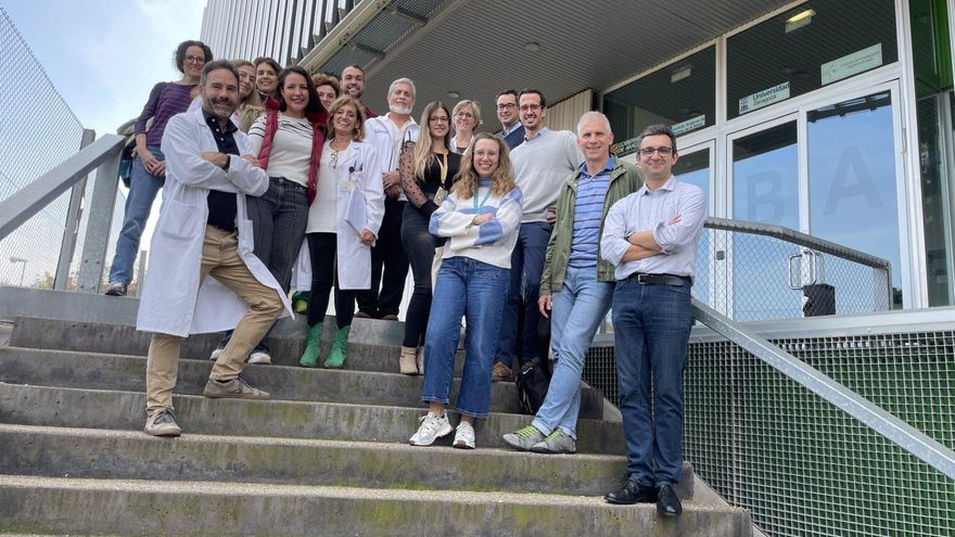 Aragón lidera un proyecto pionero para regenerar órganos antes de su trasplante