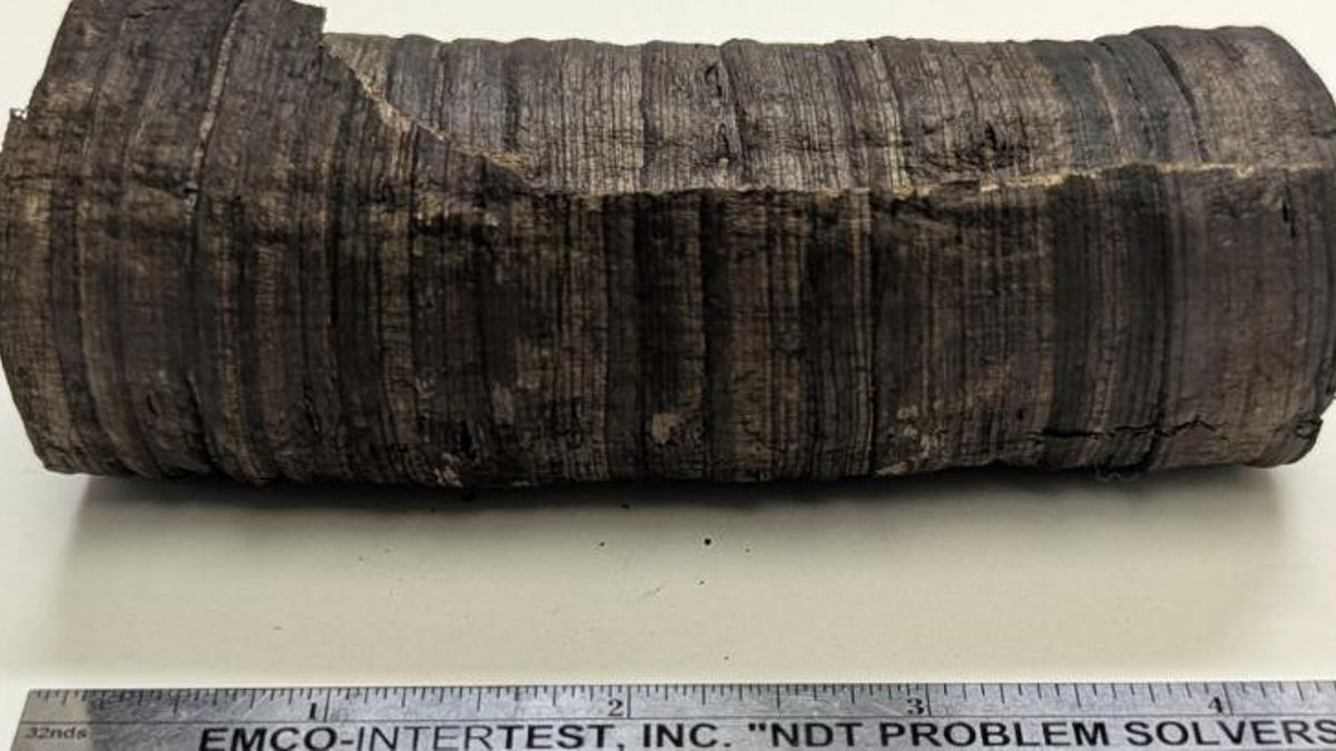 La carbonización preservó documentos que ahora pueden estudiarse