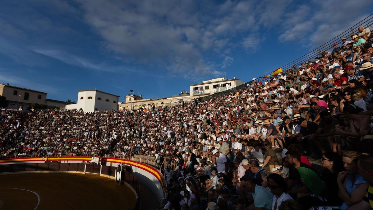 Aspecto del tendido en Muro.