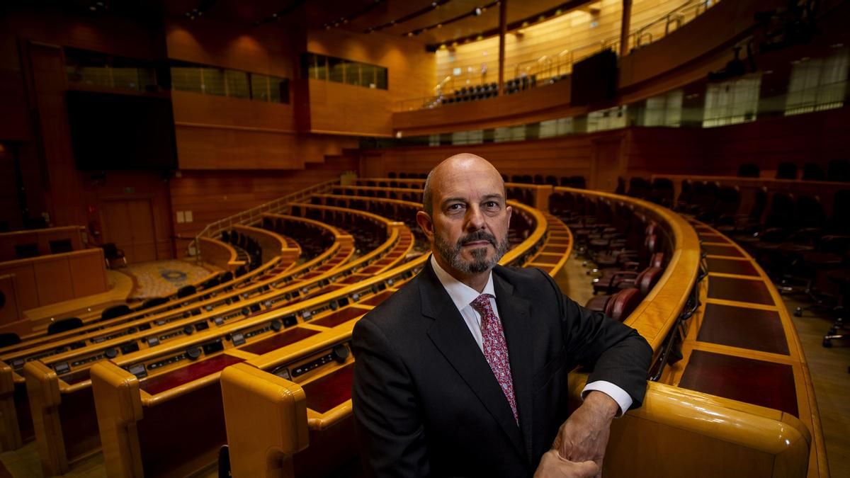El presidente del Senado, Pedro Rollán.