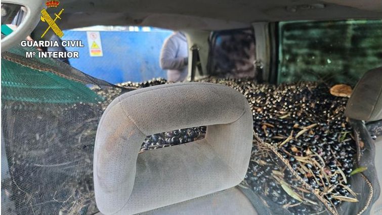 La Guardia Civil recupera dos partidas de aceitunas robadas en explotaciones de la provincia de Ciudad Real
