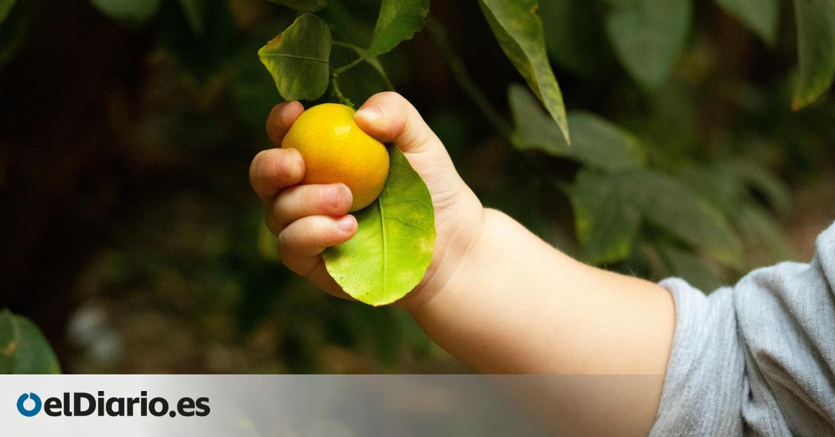 Enseñar a los niños a comer con las manos: las claves de una nutricionista para iniciarse