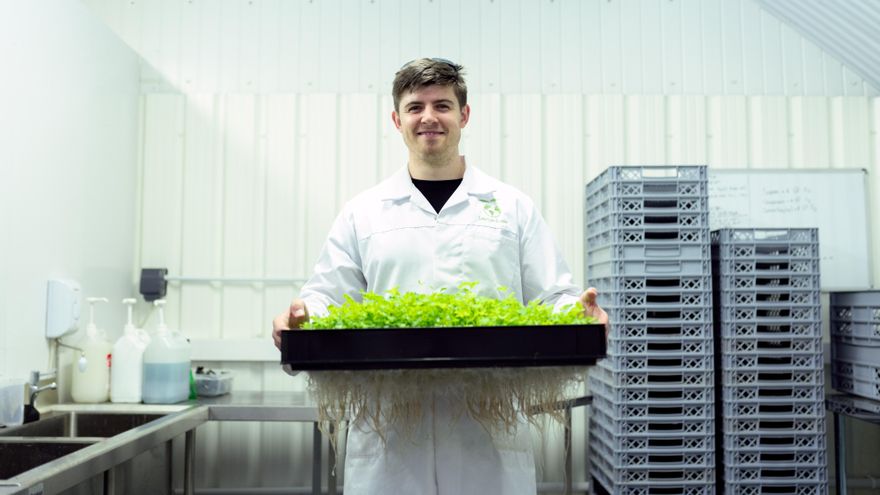 Día del Bromatólogo: ¿por qué se celebra el 29 de diciembre?