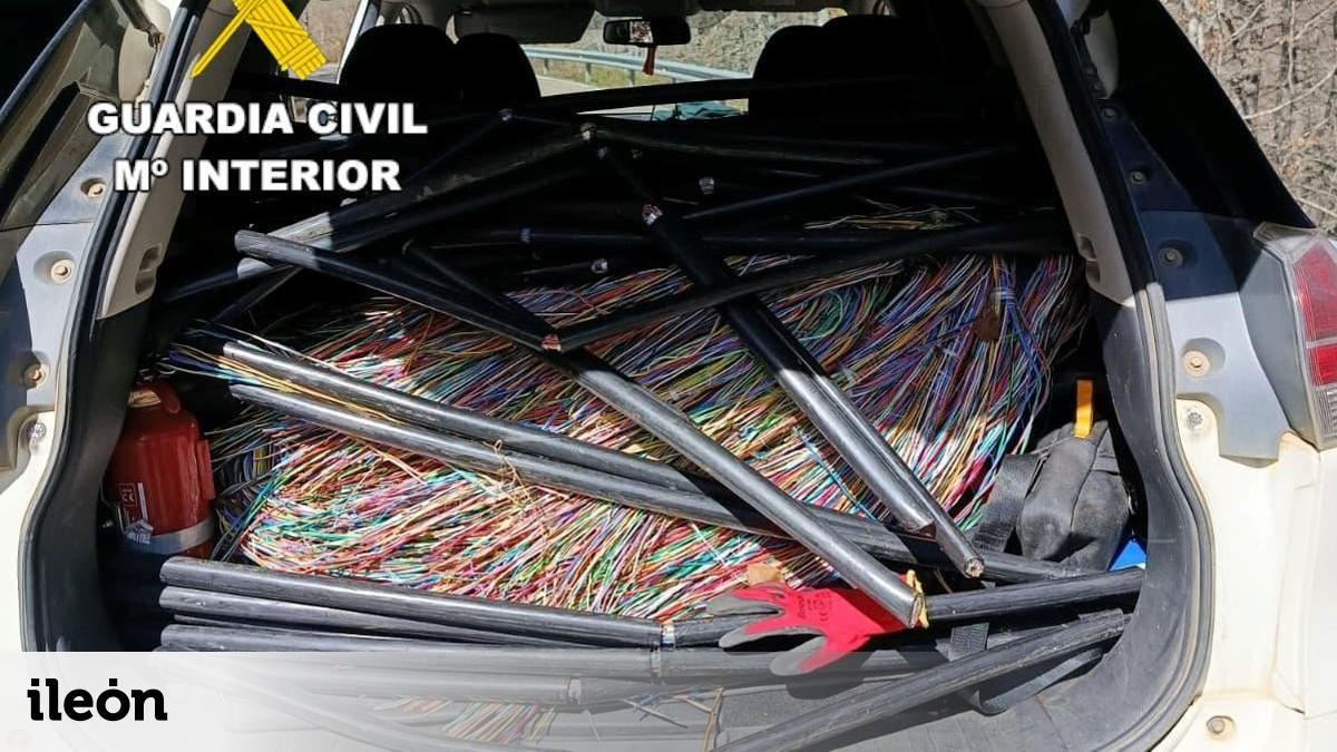 Seis detenidos y cuatro investigados por robar casi 1.500 kilos de ...