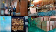 Decomiso de 250 toneladas de hoja de tabaco en Extremadura, el mayor de Europa