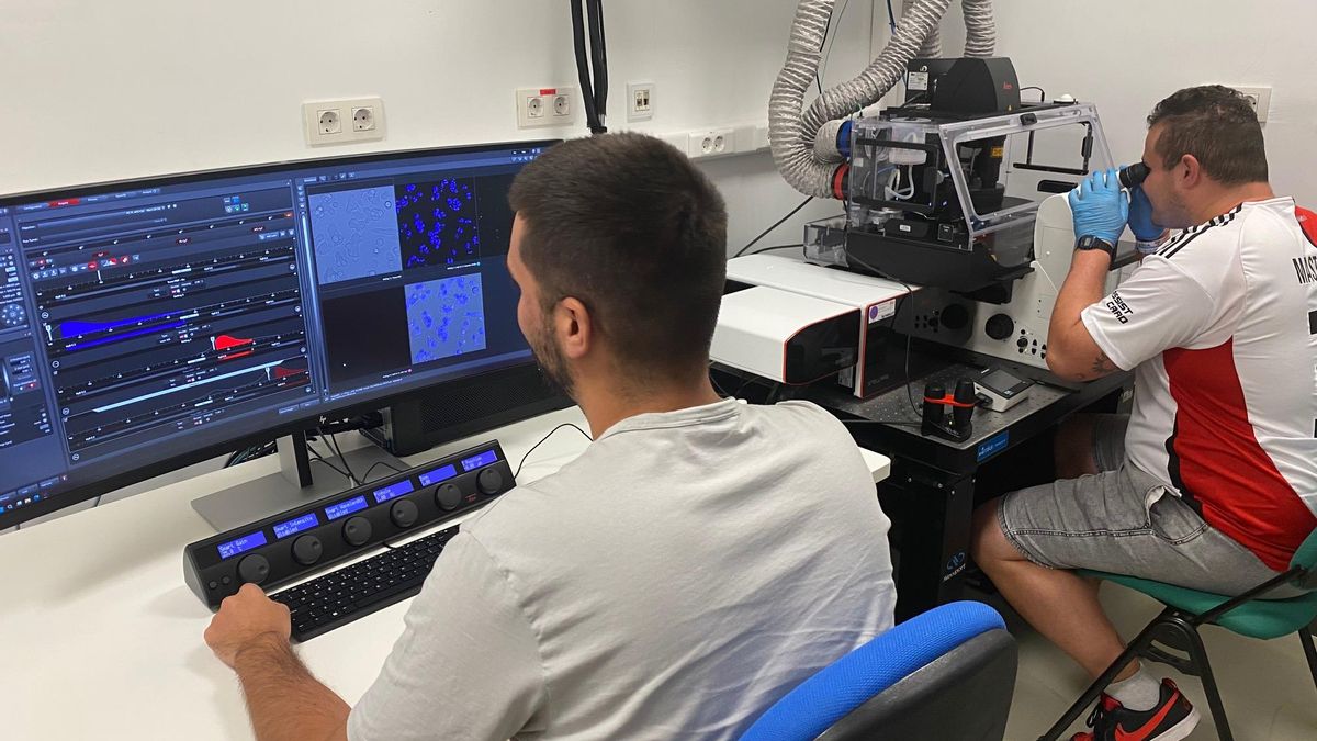 Biotecnología aplicada a la salud: así es el proyecto con el que Castilla-La Mancha busca una patente