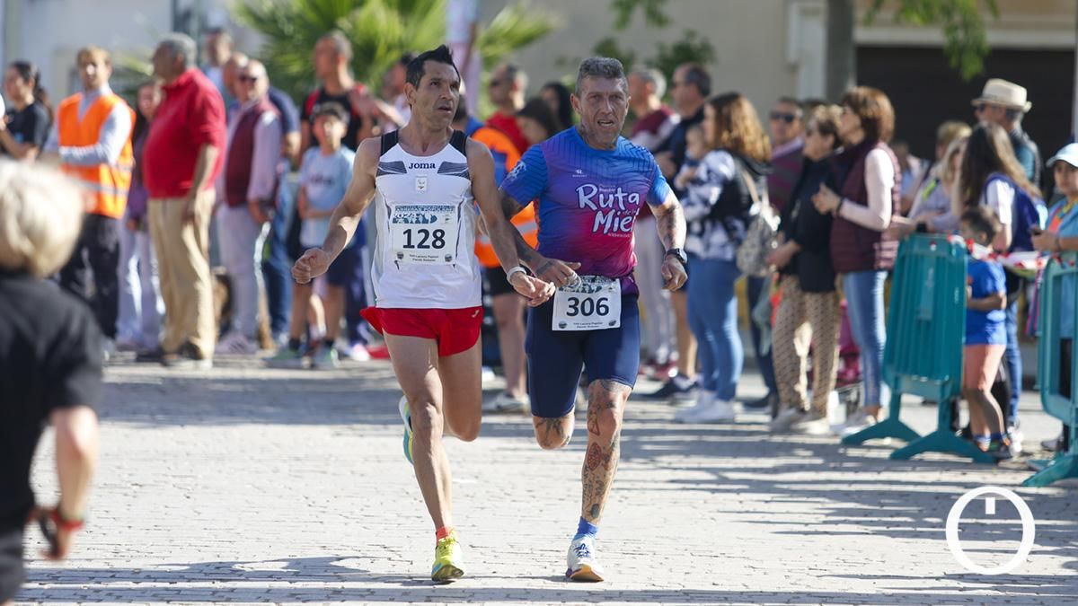 XXII Carrera Popular Puente Romano