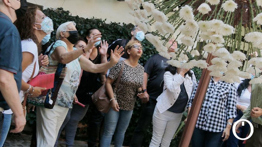 Instalación de Flora 2021 en la Posada del Potro