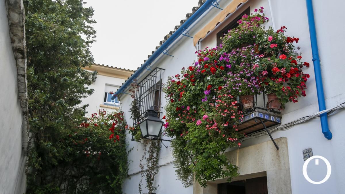 Rejas y Balcones en la C/ San Juan de Palomares, 8