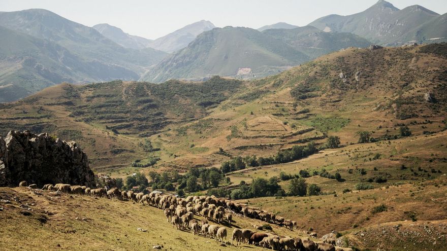 La Reserva de la Biosfera de Babia constituye su primer comité científico