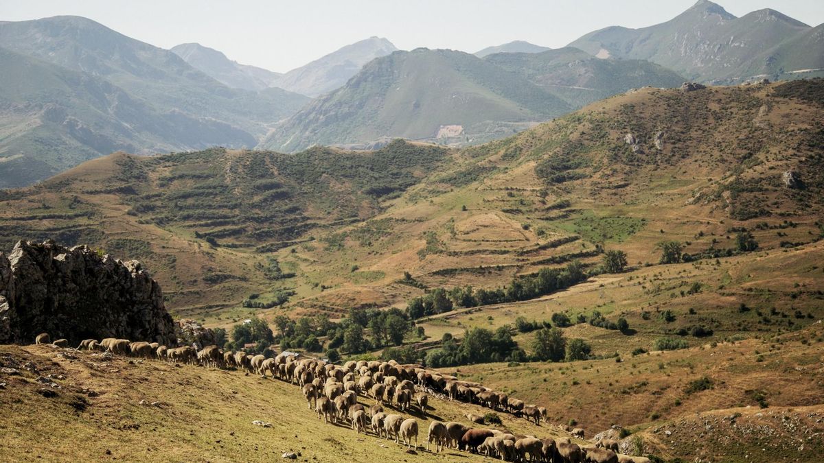 La Reserva de la Biosfera de Babia constituye su primer comité científico