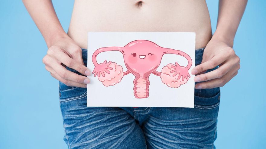 La medicina avanza en la comprensión del funcionamiento del endometrio. // SINC