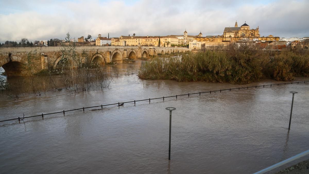 El río Guadalquivir, a su paso por Córdoba, este domingo 8 de febrero