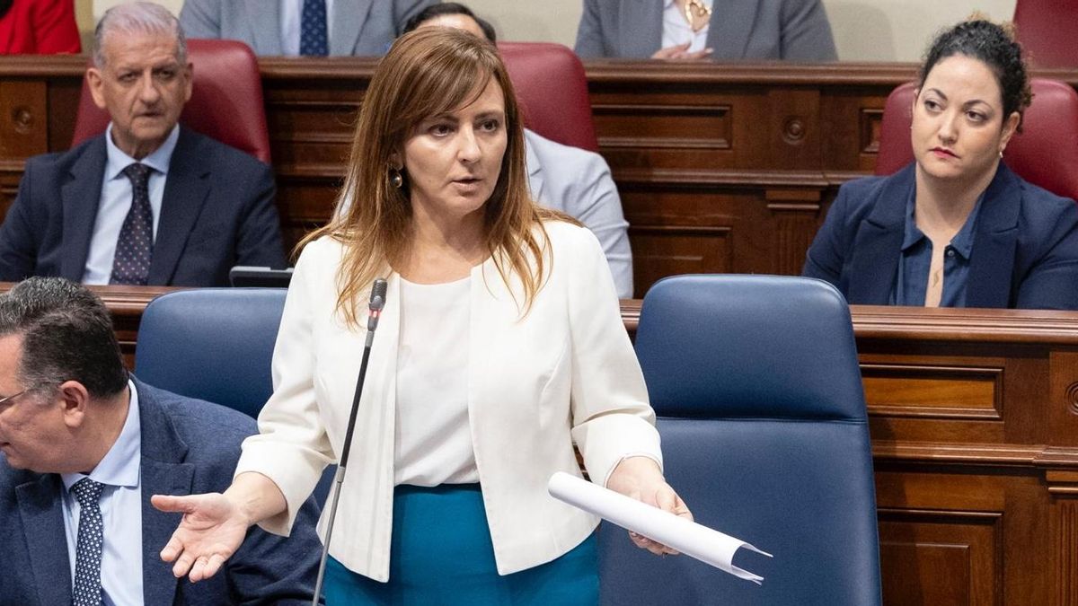 Nieves Lady Barreto: “El Decreto Canarias es una oportunidad para ser iguales”