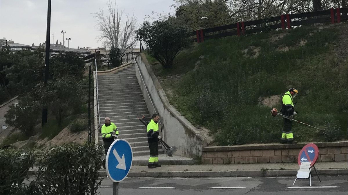 Jardineros podan un zona verde con unas escaleras centrales en Zaragoza.
