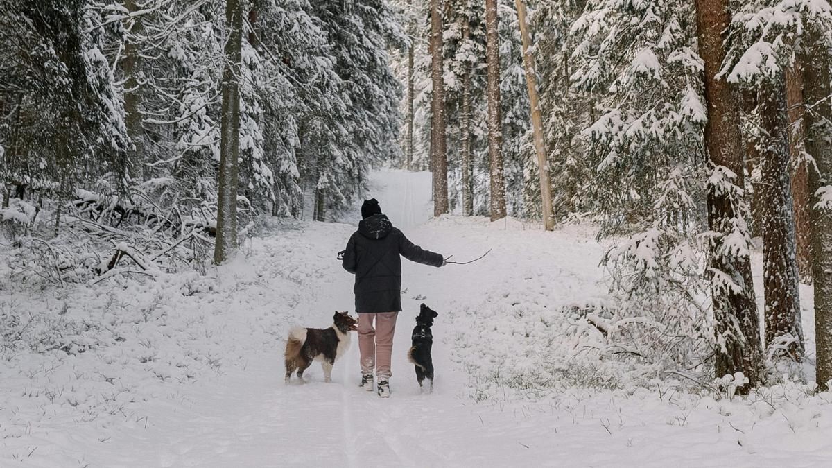Para evitar que tus animales de compañía acaben resfriados tras un paseo, te recomendamos que bajes la intensidad del radiador antes de que los saques a la calle