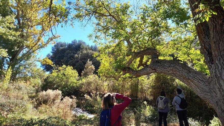 Más de 40 actividades gratuitas para disfrutar de la naturaleza en primavera en Castilla-La Mancha