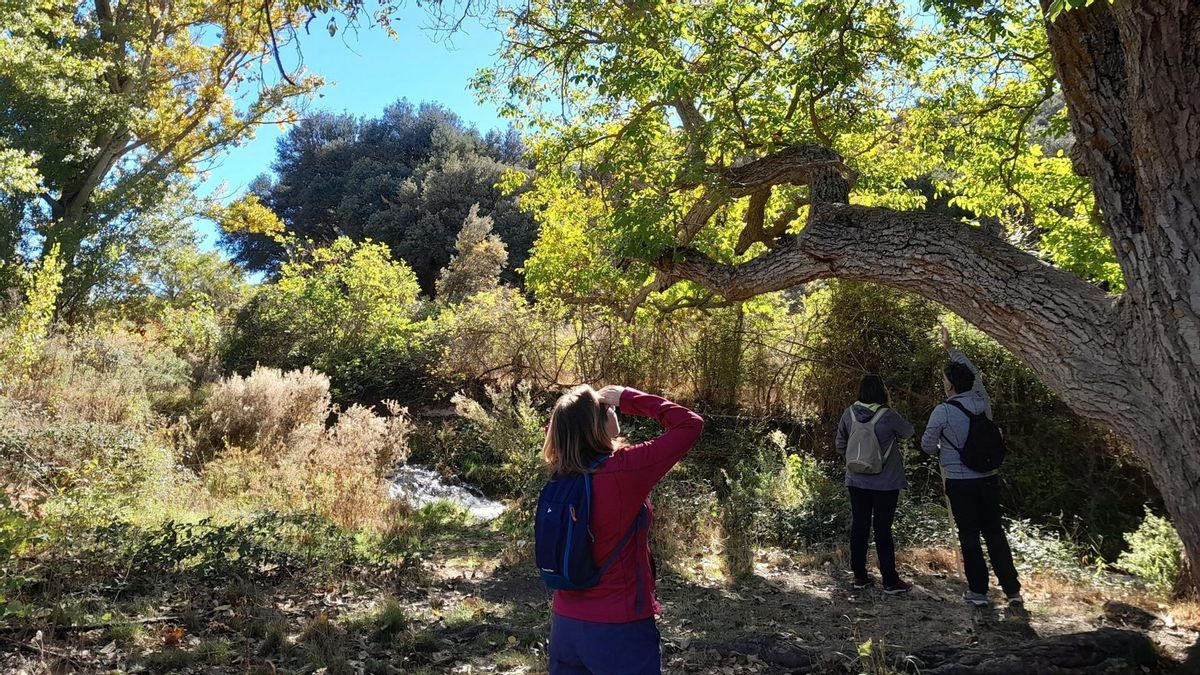 Más de 40 actividades gratuitas para disfrutar de la naturaleza en primavera en Castilla-La Mancha