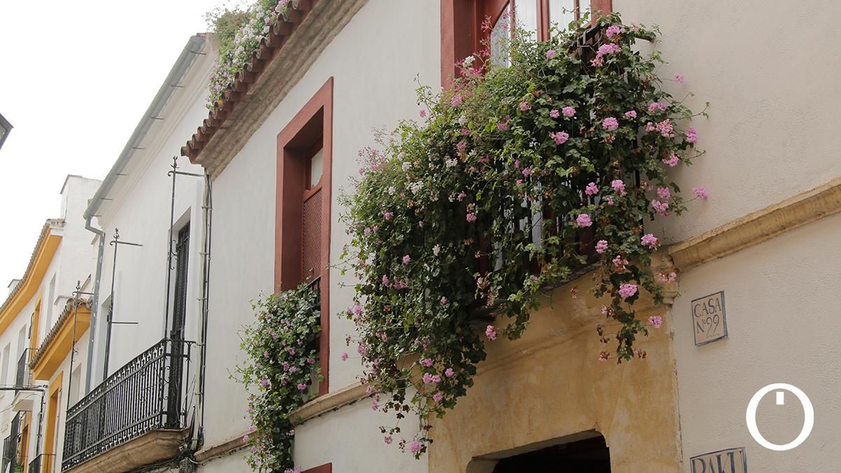 Rejas y Balcones en la C/ Maese Luis, 22