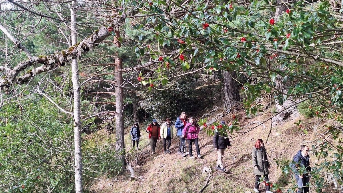 Un paseo por Ventrosa y Sierra Cebollera, los planes de Pasea La Rioja para este fin de semana