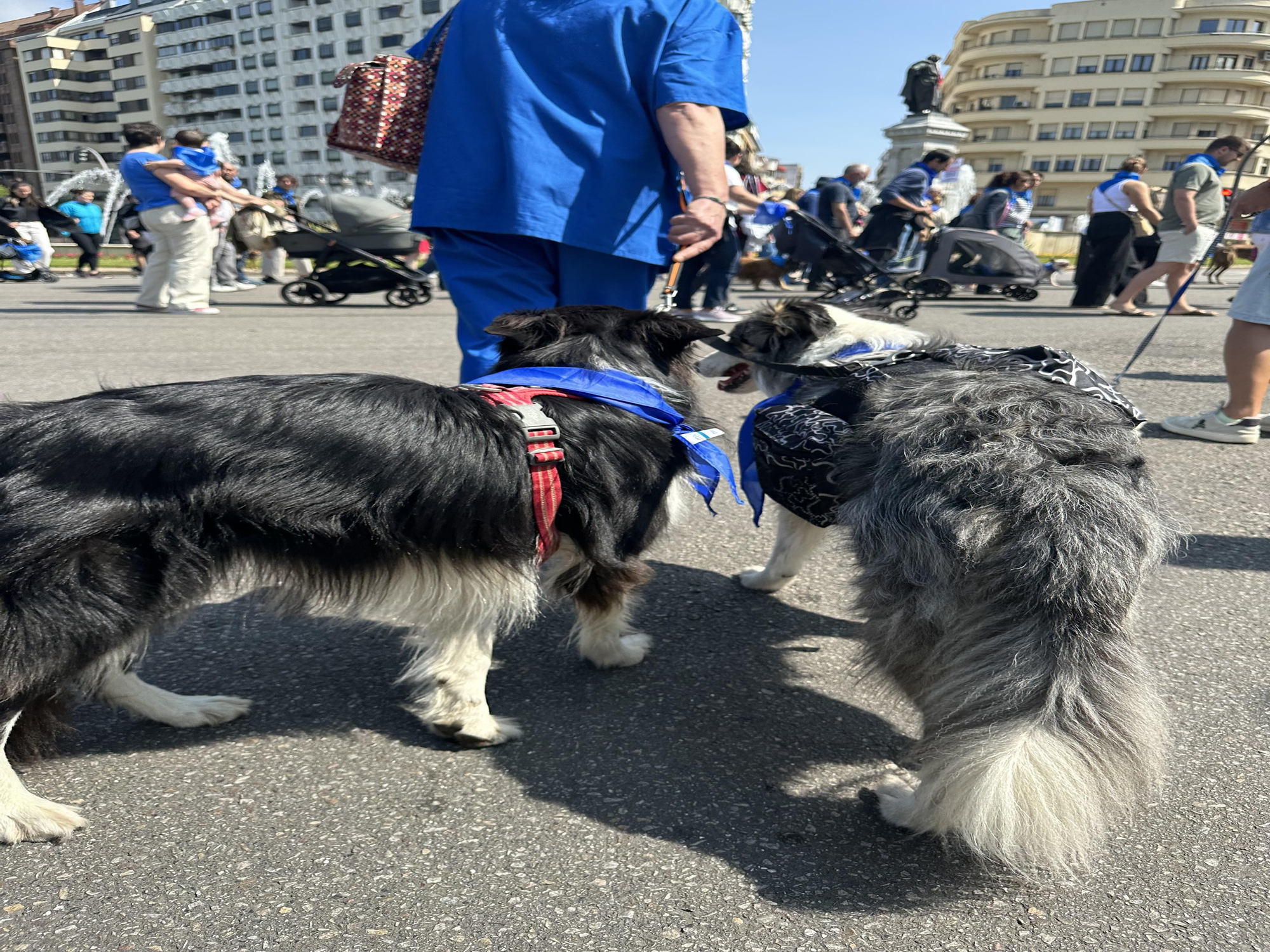 Unas 1.000 personas y 200 mascotas se manifiestan en León contra la normativa de medicamentos veterinarios.