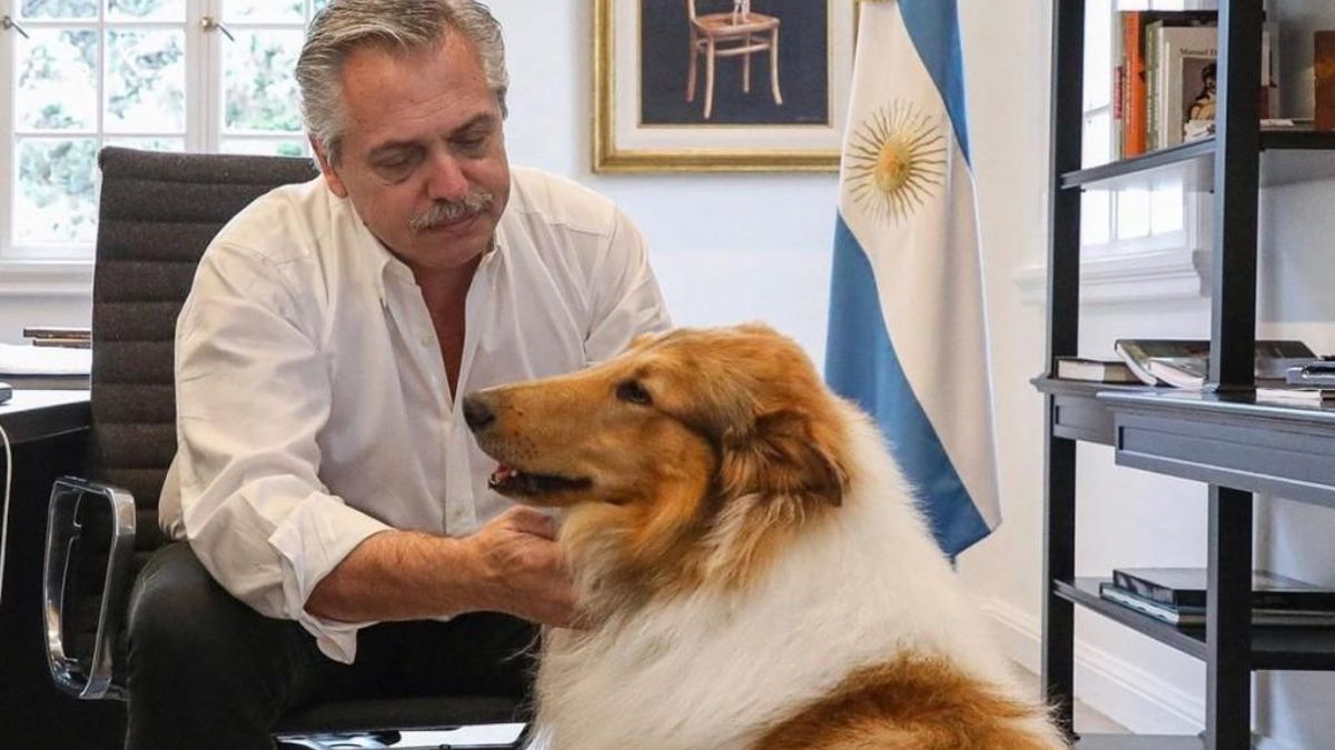 Murió Dylan y Alberto Fernández lo despidió con un desgarrador mensaje: "Me regalaste una amistad incondicional"