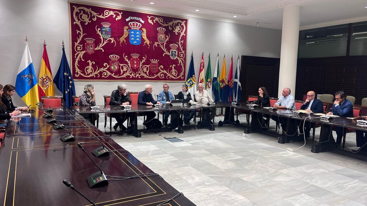 Representantes de diferentes organizaciones canarias reunidas en el Parlamento, en Tenerife, para exigir un estatuto de neutralidad para las islas.