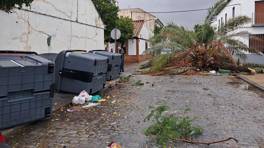 El Sector Sur sufre el paso de la borrasca Claudia