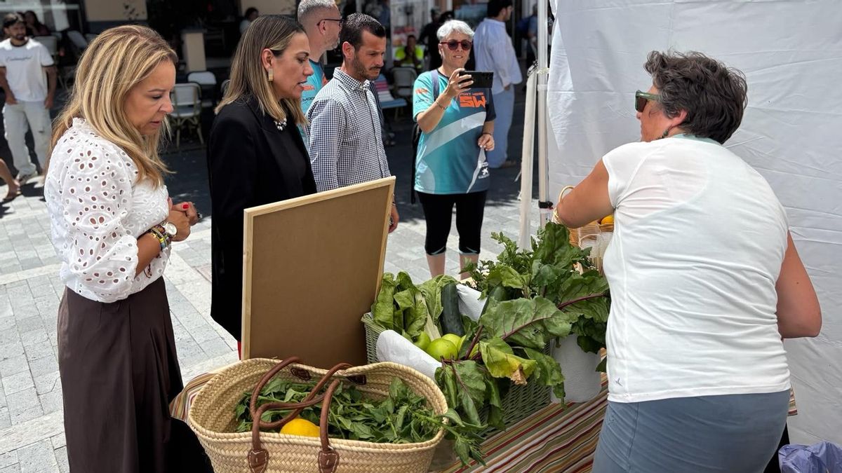 Los Llanos Sport Week refuerza su apuesta por la vida activa con la I Feria del Deporte y la Salud