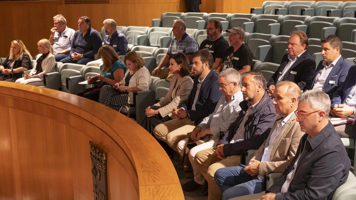 Alcaldes, concejales y representantes del Movimiento de Acción Rural afectados por la falta de médicos, el jueves en las Cortes