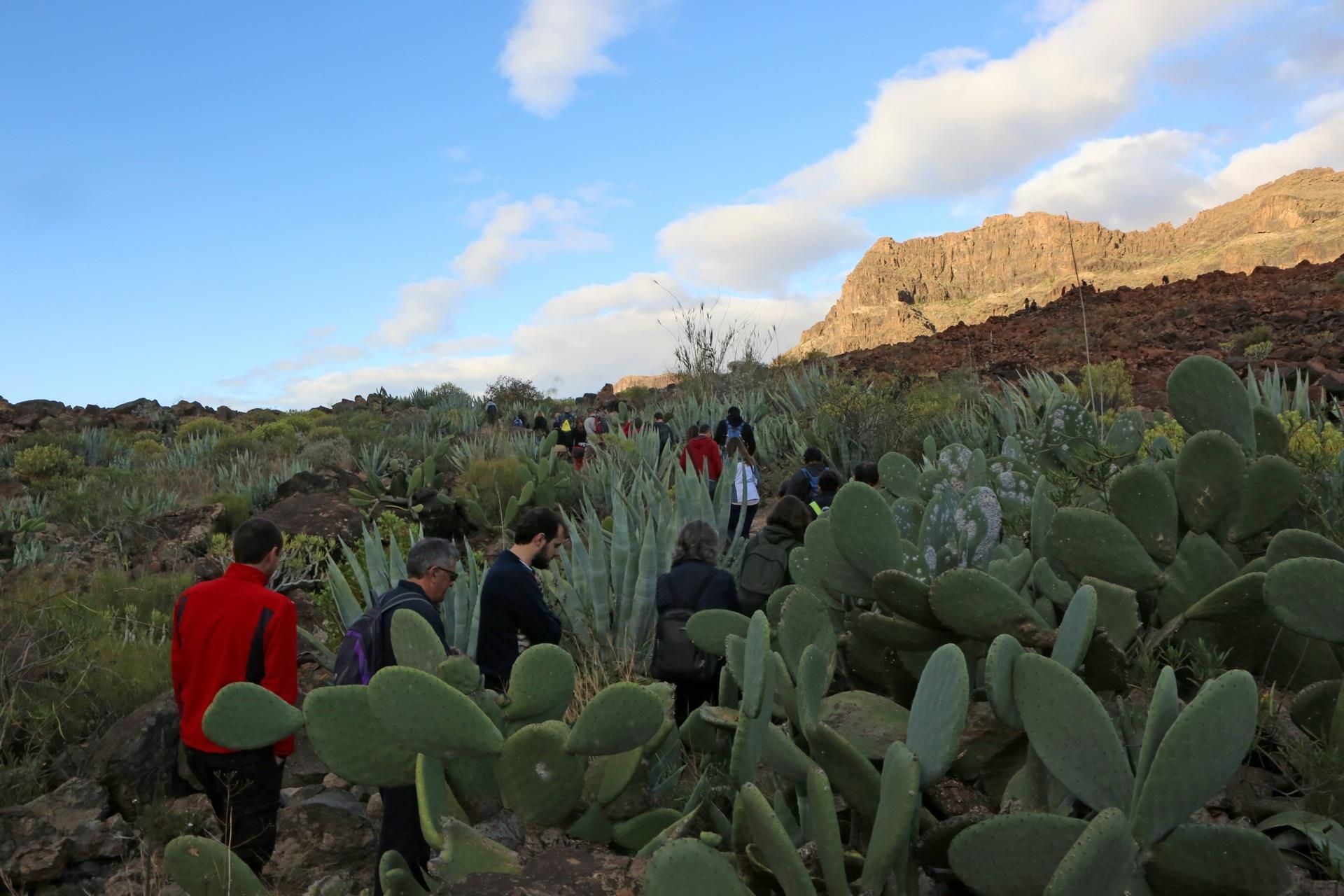 La primavera lleva a Arteara. (Alejandro Ramos).