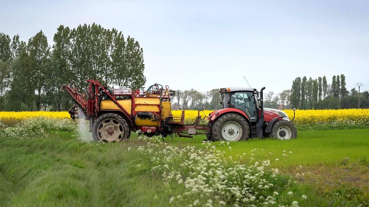 El número de parados baja en la provincia de León más de un 10% respecto al año pasado