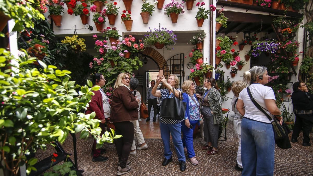 Patios 2026 Ruta 5 - Martín de Roa, 7