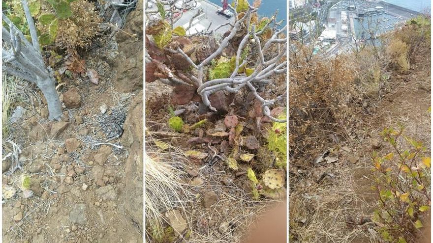 Retiran los residuos de las obras de seguridad del Risco de La Concepción