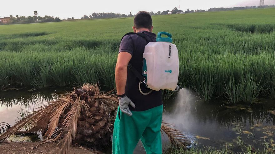 Extremadura confirma tres nuevos casos del virus del Nilo