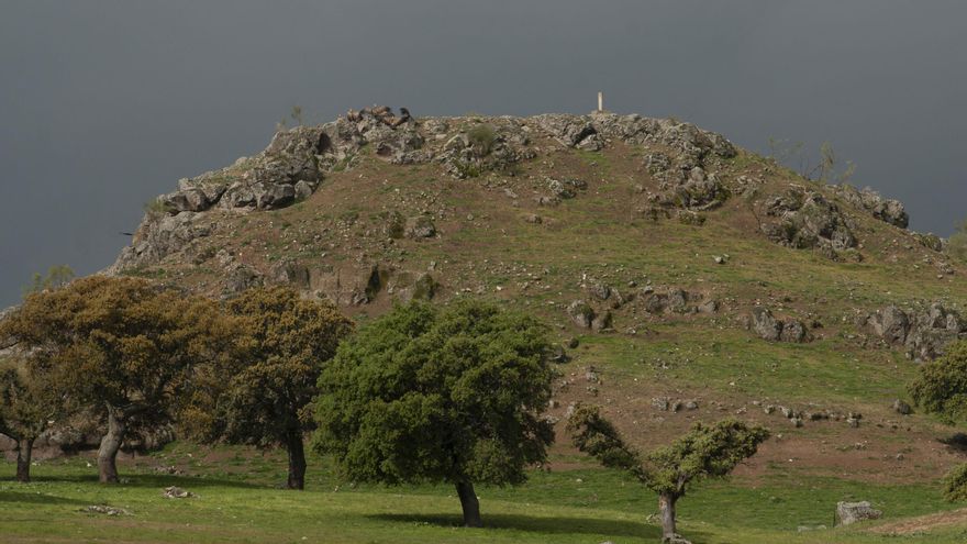 La nueva Denominación de Origen Vinos Campo de Calatrava ya es una realidad tras ser aprobada por la UE