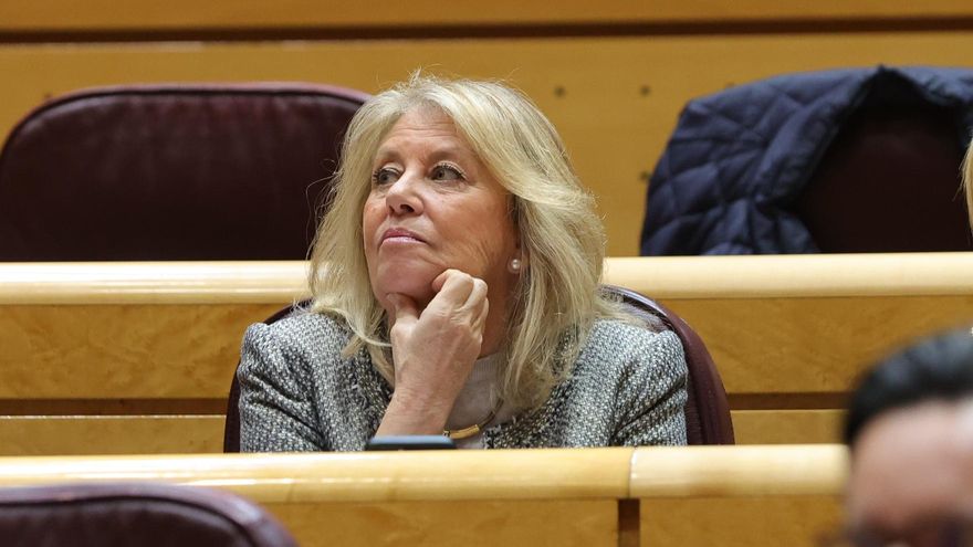 Archivo - La alcaldesa de Marbella, Ángeles Muñoz, durante una sesión de control al Gobierno en el Senado, a 21 de diciembre de 2022, en Madrid (España).