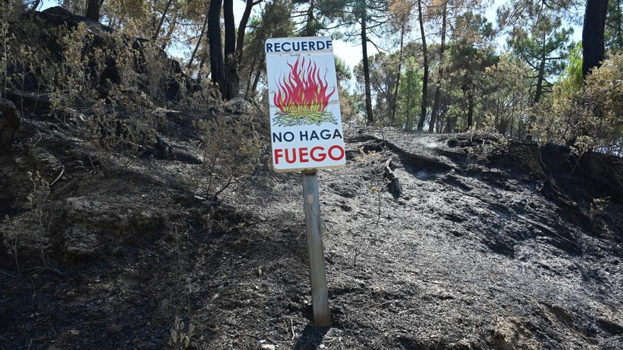 El dilema de los fuegos artificiales y las fiestas en los pueblos afectados por los incendios: "El riesgo es extremo"