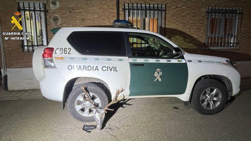 Sin seguro del coche, ITV caducada y una cabeza de venado en Palencia: la Guardia Civil identifica a dos furtivos