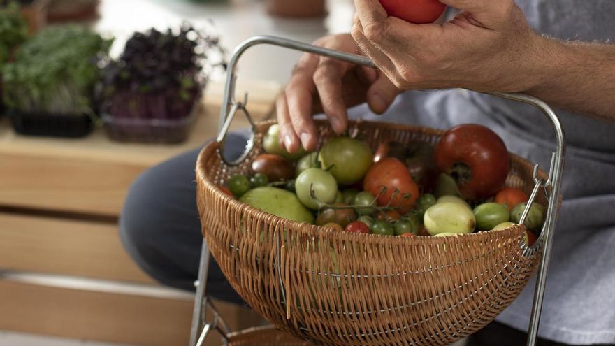 Esta es la forma de almacenar la fruta que evitará que acudan las moscas y mosquitos a tu cocina