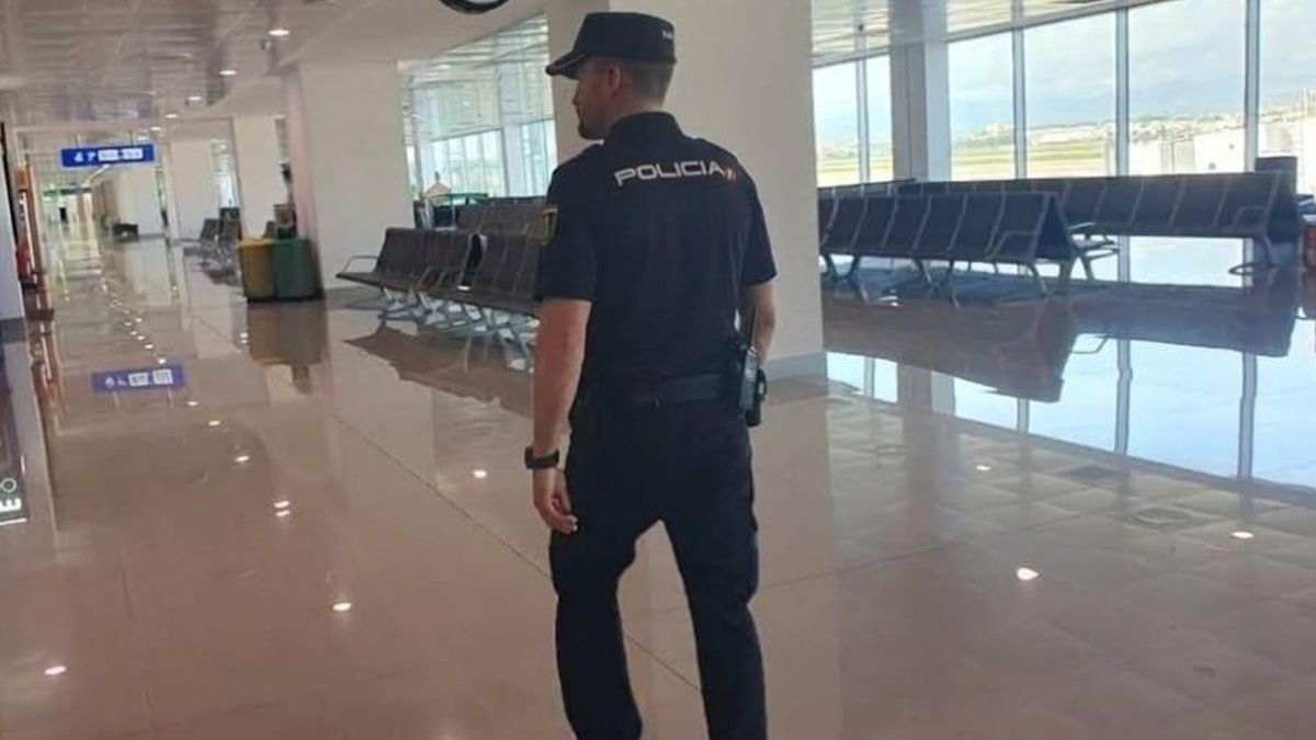 La Policía detiene a un hombre tras intervenirle dos maletas con 25 kilos de marihuana en el aeropuerto de Palma