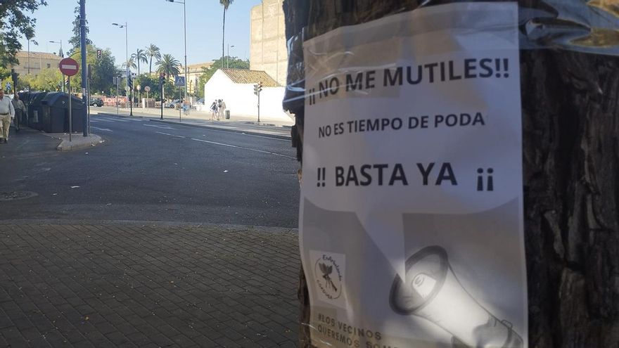 Protestan contra la poda de árboles en Córdoba en plena primavera