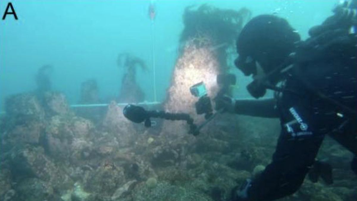 Un conjunto de muros de piedra sumergidos en Bretaña revela una compleja ocupación humana hace más de 7.000 años