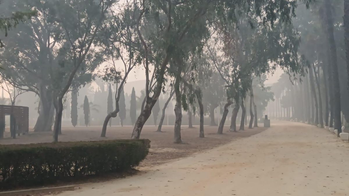 Humo en Huelva por el incendio en Marismas del Odiel.