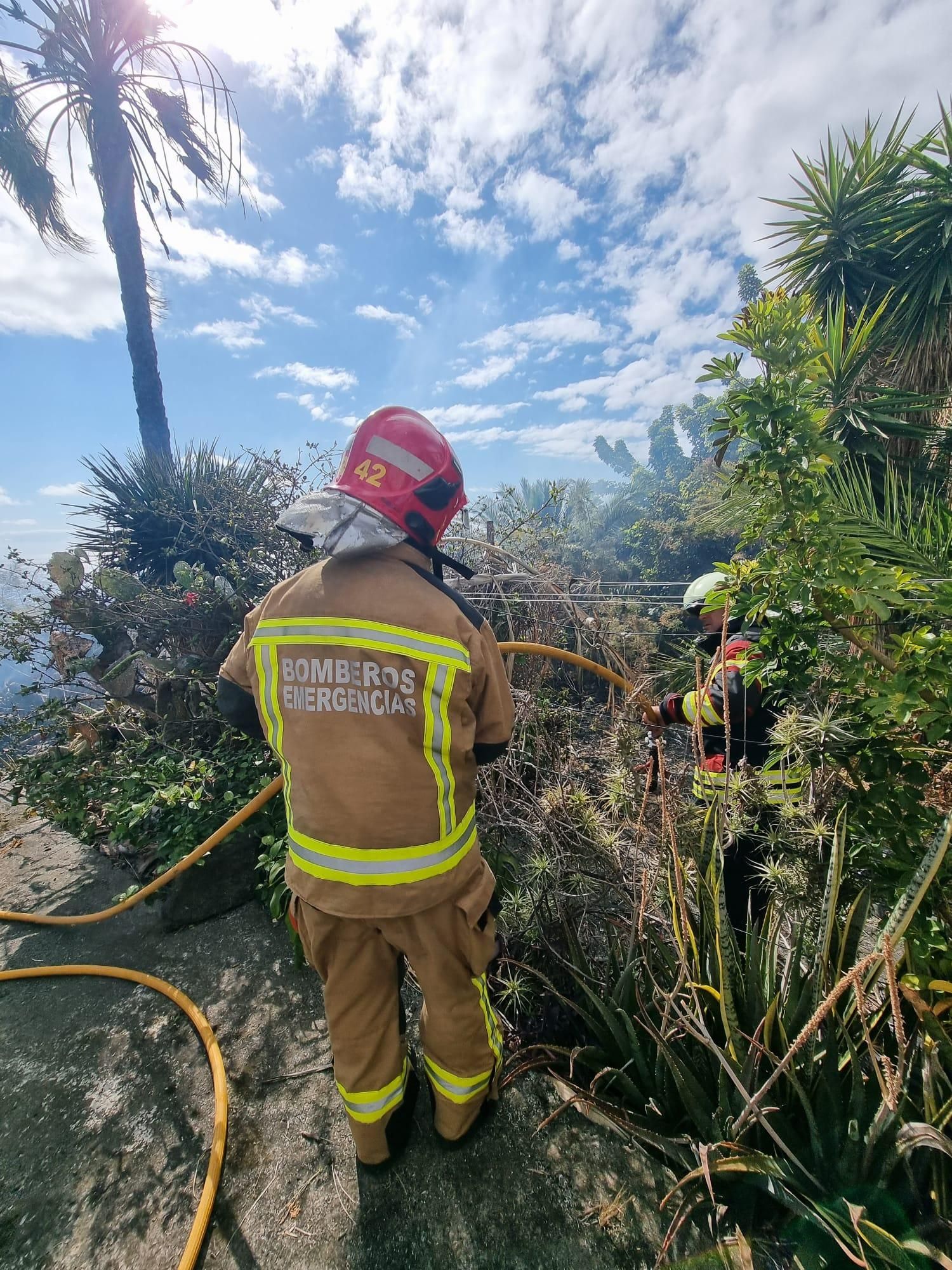 Labores de extinción de los bomberos. BOMBEROS LA PALMA