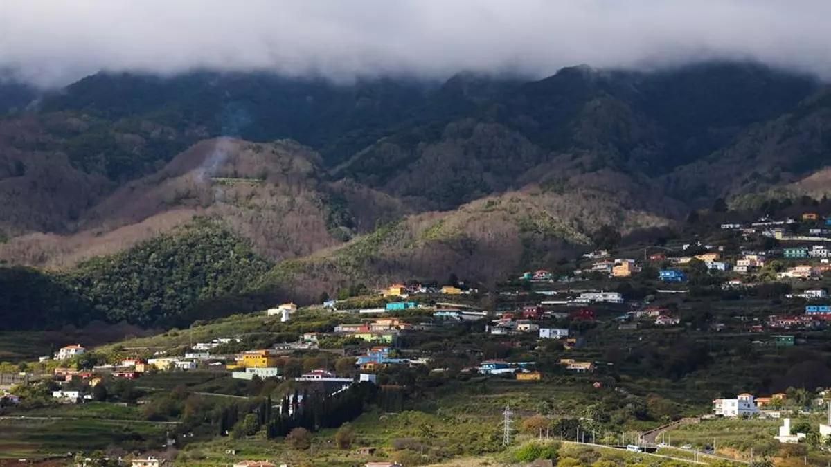 El castaño parece ocupar cada vez más espacio en las laderas orientales de la cumbre de La Palma, desplazando al monteverde y la laurisilva y creando una mancha gris cada invierno debido a sus hojas caducas. EFE / Luis G Morera