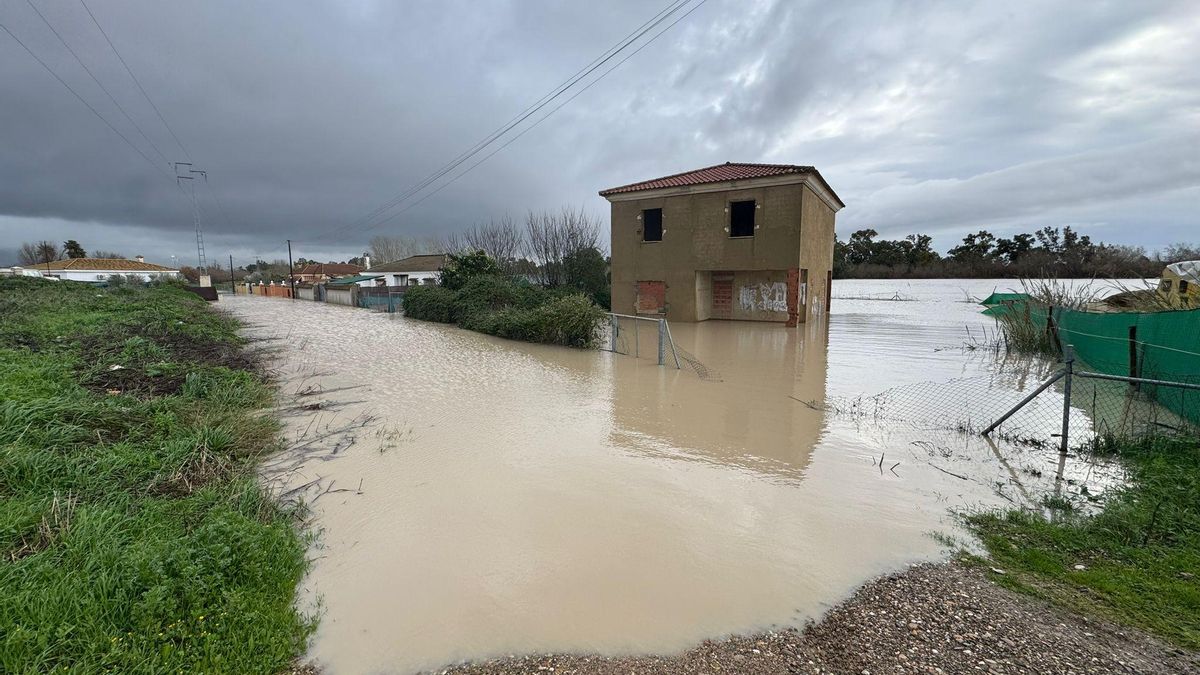 El agua inunda las parcelas de Majaneque